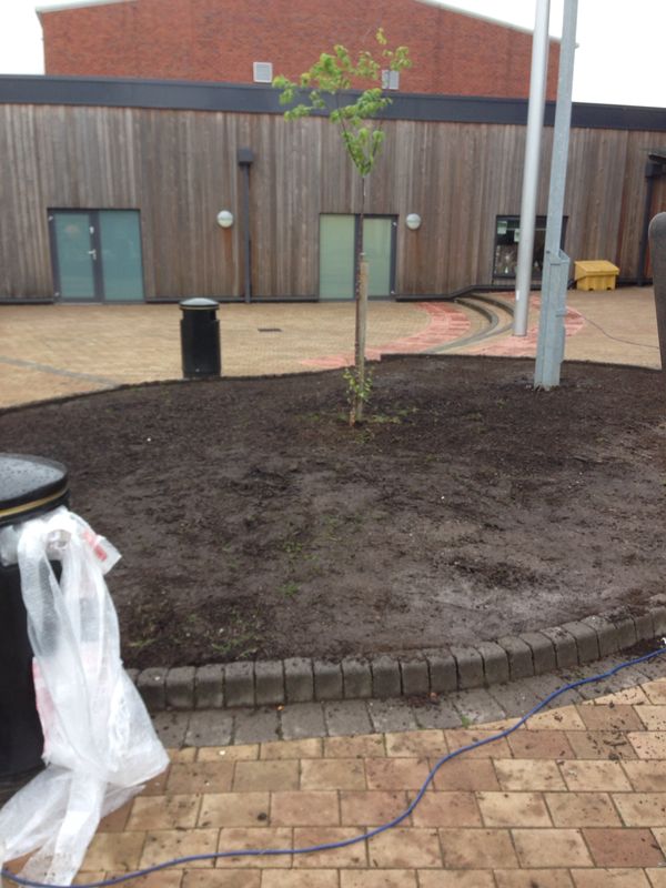Artificial Grass in Cardinal Heenan School, Liverpool